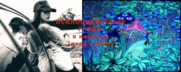 шишки Горно-Алтайск