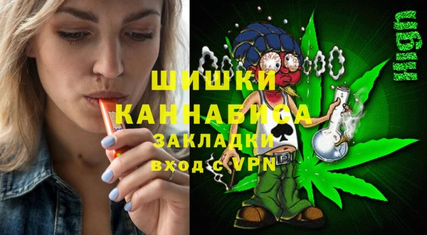 шишки Горно-Алтайск