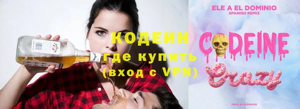 шишки Гусев