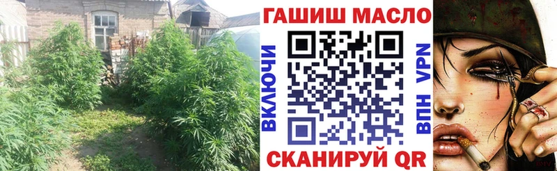 МЕГА маркетплейс  Электросталь  Дистиллят ТГК концентрат 